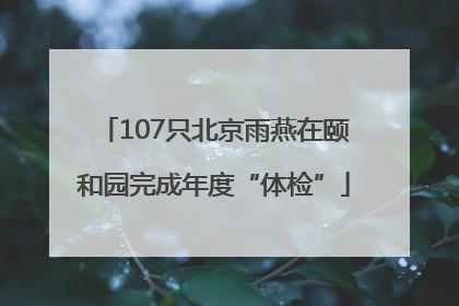 107只北京雨燕在颐和园完成年度“体检”