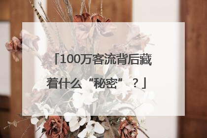 100万客流背后藏着什么“秘密”？