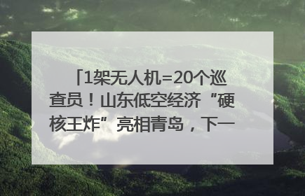 1架无人机=20个巡查员！山东低空经济“硬核王炸”亮相青岛，下一个万亿赛道藏在这里