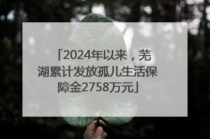 2024年以来，芜湖累计发放孤儿生活保障金2758万元