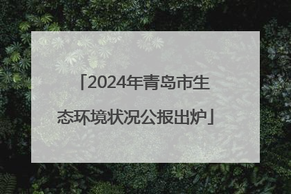2024年青岛市生态环境状况公报出炉