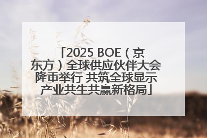 2025 BOE（京东方）全球供应伙伴大会隆重举行 共筑全球显示产业共生共赢新格局