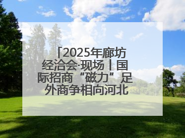 2025年廊坊经洽会·现场丨国际招商“磁力”足 外商争相向河北推介项目