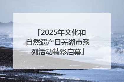 2025年文化和自然遗产日芜湖市系列活动精彩启幕