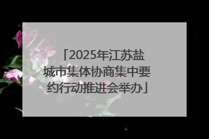 2025年江苏盐城市集体协商集中要约行动推进会举办