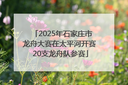 2025年石家庄市龙舟大赛在太平河开赛 20支龙舟队参赛