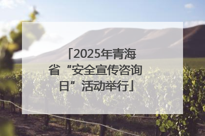 2025年青海省“安全宣传咨询日”活动举行