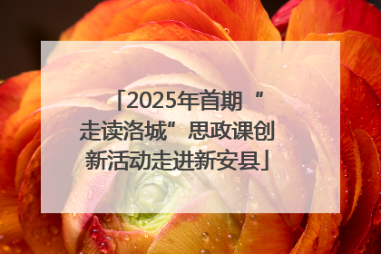 2025年首期“走读洛城”思政课创新活动走进新安县
