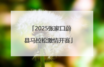 2025张家口蔚县马拉松激情开赛