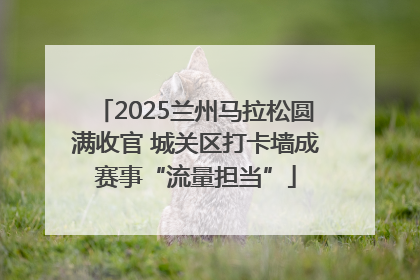 2025兰州马拉松圆满收官 城关区打卡墙成赛事“流量担当”