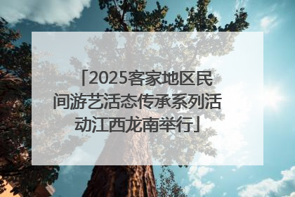 2025客家地区民间游艺活态传承系列活动江西龙南举行