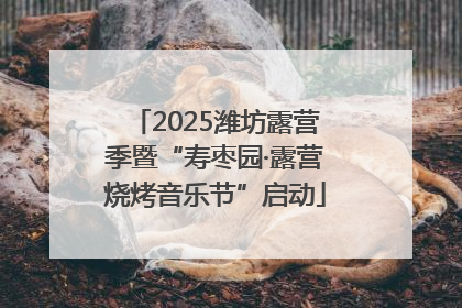 2025潍坊露营季暨“寿枣园·露营烧烤音乐节”启动