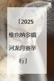 2025维也纳多瑙河龙舟赛举行