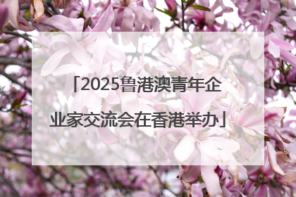 2025鲁港澳青年企业家交流会在香港举办