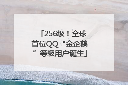 256级！全球首位QQ“金企鹅”等级用户诞生
