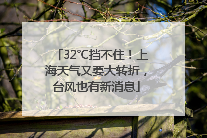 32℃挡不住！上海天气又要大转折，台风也有新消息