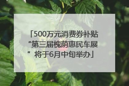 500万元消费券补贴 “第三届槐荫惠民车展”将于6月中旬举办