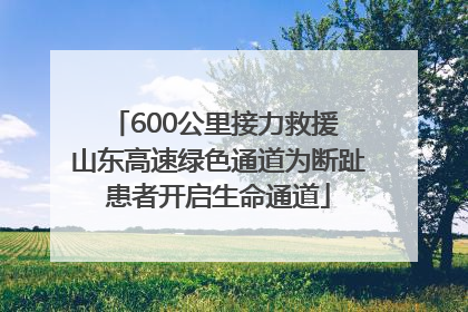 600公里接力救援 山东高速绿色通道为断趾患者开启生命通道