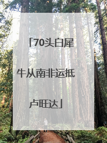 70头白犀牛从南非运抵卢旺达