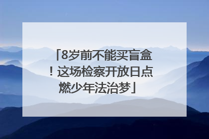 8岁前不能买盲盒！这场检察开放日点燃少年法治梦