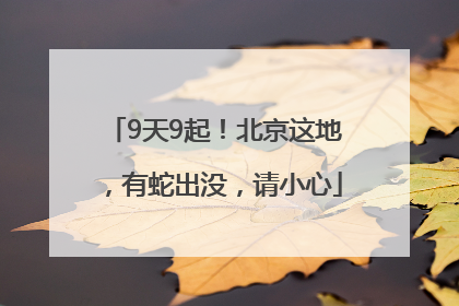 9天9起！北京这地，有蛇出没，请小心
