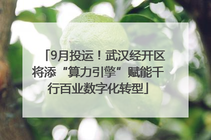 9月投运！武汉经开区将添“算力引擎”赋能千行百业数字化转型