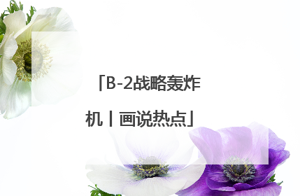B-2战略轰炸机丨画说热点