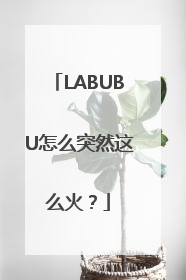 LABUBU怎么突然这么火？