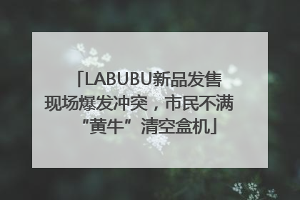 LABUBU新品发售现场爆发冲突，市民不满“黄牛”清空盒机