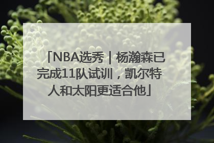 NBA选秀｜杨瀚森已完成11队试训，凯尔特人和太阳更适合他