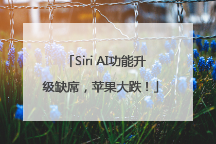 Siri AI功能升级缺席，苹果大跌！